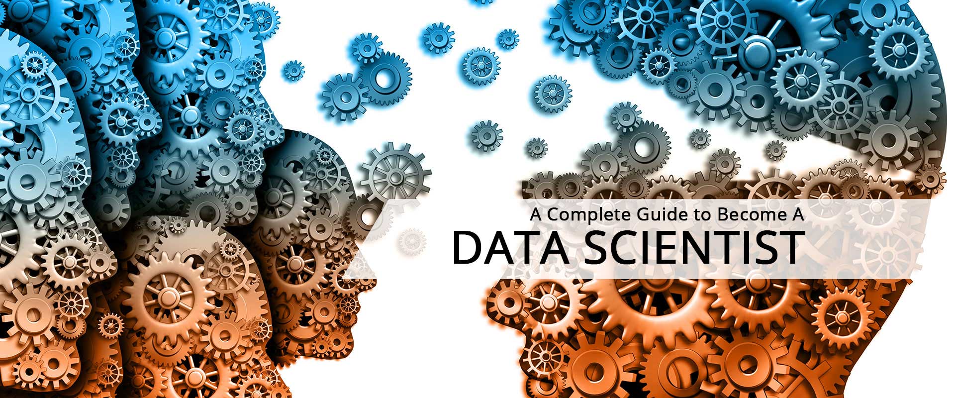 A Complete Guide To Become A Data Scientist Pointwest