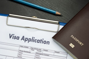 Application Development for Travel Agencies - Application Form Sample